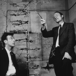 Watson och Crick upptäckte hur DNA fungerar