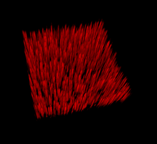 Konstgjorda cellmembraner bildas längs ett stort antal vertikala nanotrådar, i en så kallad nanoskog. Bild: Aleksandra Dabkowska