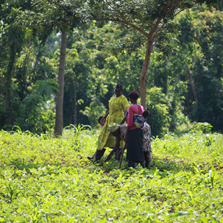 Starkare tillsammans: Bybor från Sere i Tororo-distriktet i sydöstra Uganda.