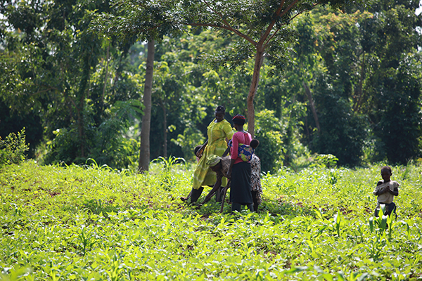 Starkare tillsammans: Bybor från Sere i Tororo-distriktet i sydöstra Uganda.