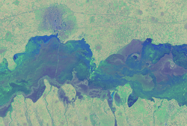 Satellitbild över ett område inom den halvtorra Sahelregionen i Afrika. Bild från Hakim Abdi som bygger på fjärranalysdata från Landsat 8 satelliten (US Geological Survey och NASA).