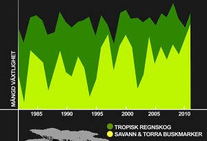 I figuren jämförs förmågan att lagra in kol från koldioxid i växtligheten mellan regnskogar och torrare marker som torra buskmarker och savanner. Figuren visar att regnskogar producerar mer växtlighet än torrare områden och att växtligheten på torrare marker varierar mycket mellan år. Figuren visar även att det främst är de torrare markerna som står för den ökning i koldioxidupptag som skett under de senaste 20 åren, vilket betyder att även dessa områden är viktiga att bevara för att bromsa klimatförändringar. I Afrika utgör regnskogen 10 procent av totalytan medan torra buskmarker och savanner utgör hela 44 procent av Afrikas yta. Figuren är modifierad från ett diagram i: Anders Ahlström et al. 2015, ”The dominant role of semi-arid ecosystems in the trend and variability of the land CO2 sink”, Science, 348:6237.