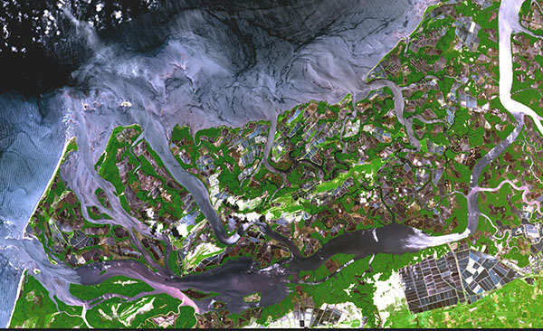 Före detta mangrovekust i Ekvador 2001