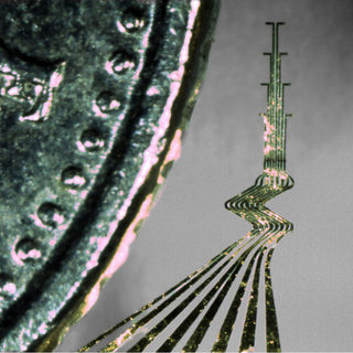 Elektroden är utskuren ur ett tunt ark av bladguld, endast 4 mikrometer tjock/tunn. (Till vänster i bilden ses ett mynt som storleksjämförelse.) Bild: Neuronano Research Center.