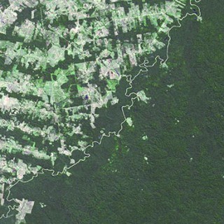 Betesmarker i den brasilianska delen av regnskogen