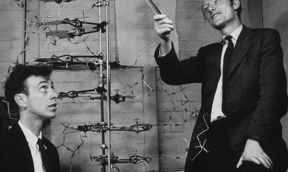 Watson och Crick upptäckte hur DNA fungerar