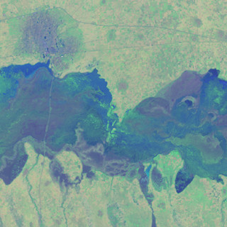 Satellitbild över ett område inom den halvtorra Sahelregionen i Afrika. Bild från Hakim Abdi som bygger på fjärranalysdata från Landsat 8 satelliten (US Geological Survey och NASA).